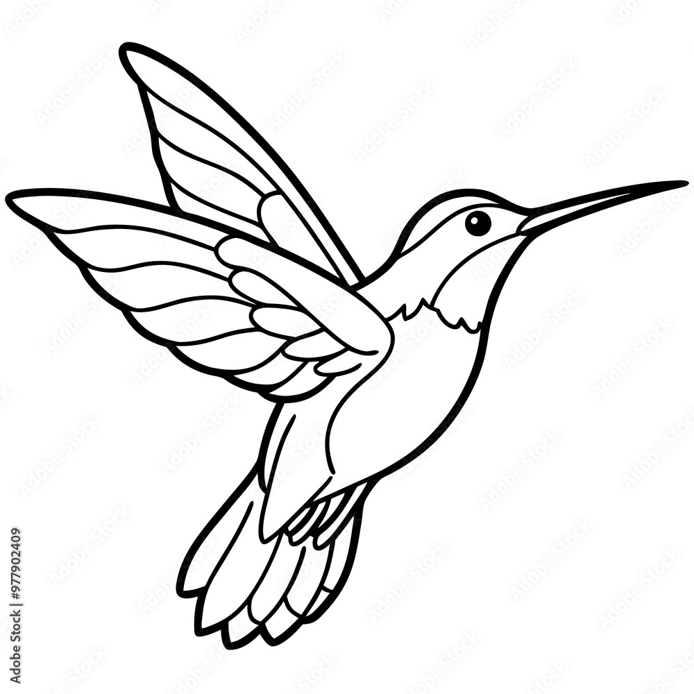 Hummingbird hovering with detailed wings and a delicate beak line art vector Hummingbird hovering with detailed wings and a delicate beak line art vector