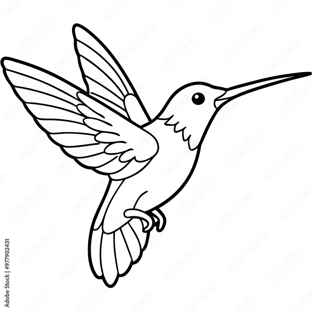 Hummingbird hovering with detailed wings and a delicate beak line art vector Hummingbird hovering with detailed wings and a delicate beak line art vector