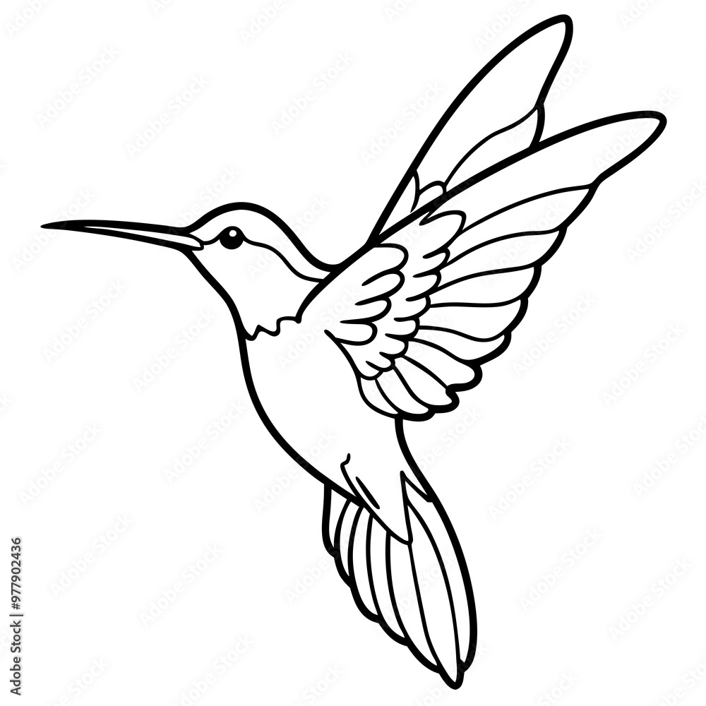 Hummingbird hovering with detailed wings and a delicate beak line art vector Hummingbird hovering with detailed wings and a delicate beak line art vector