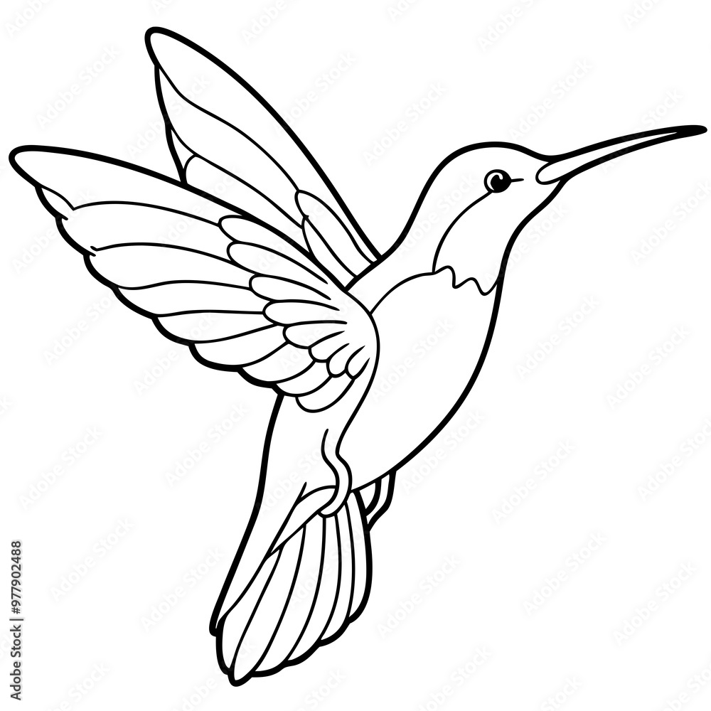 Hummingbird hovering with detailed wings and a delicate beak line art vector Hummingbird hovering with detailed wings and a delicate beak line art vector