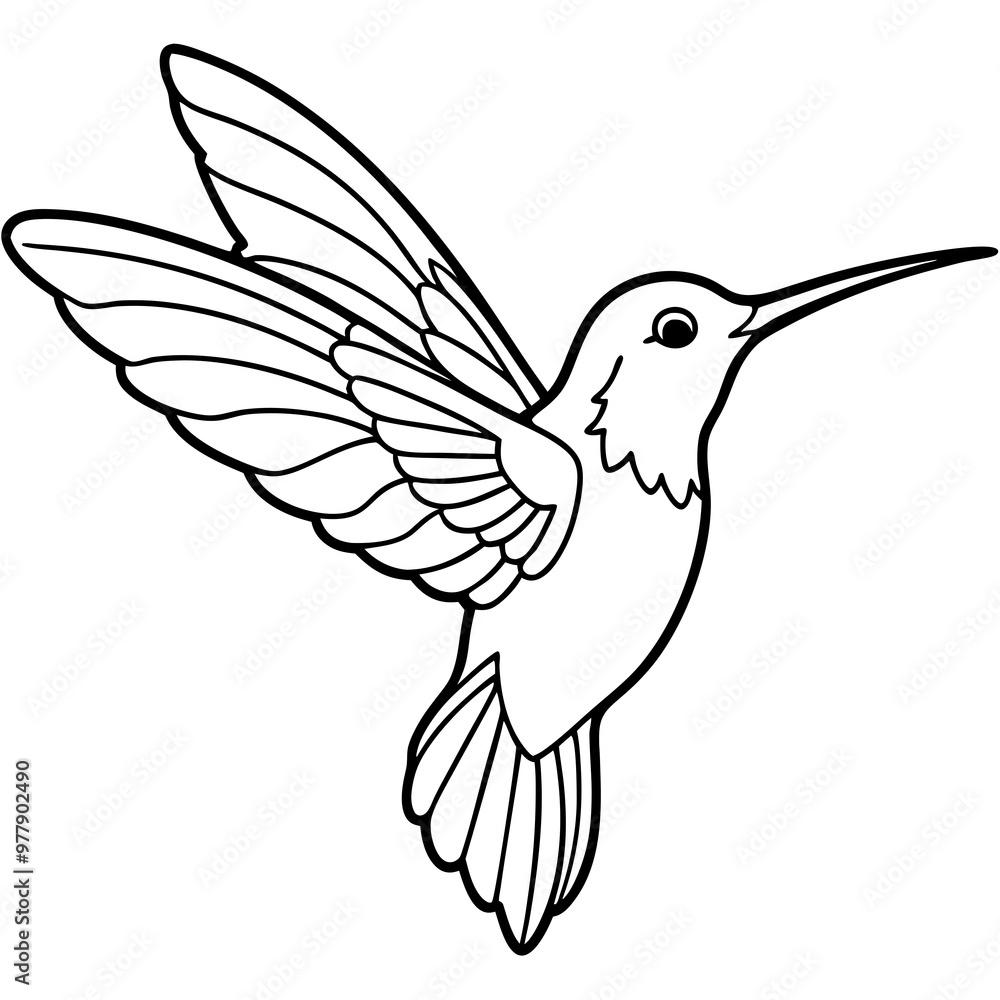 Hummingbird hovering with detailed wings and a delicate beak line art vector Hummingbird hovering with detailed wings and a delicate beak line art vector