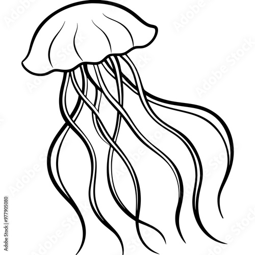 Jellyfish with flowing tentacles and a delicate, translucent form vector