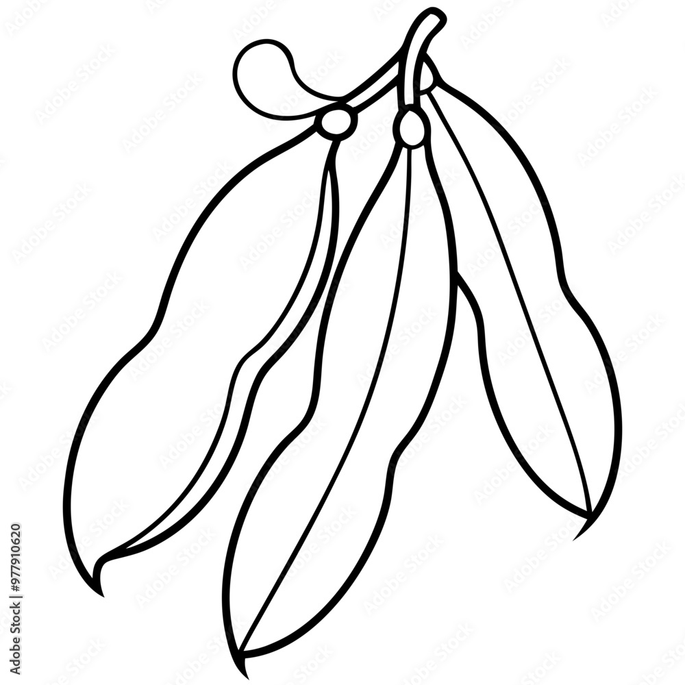 Three green beans are shown in a black and white drawing. The beans are large and have a distinct shape. The drawing conveys a sense of simplicity and elegance Three green beans are shown in a black and white drawing. The beans are large and have a distinct shape. The drawing conveys a sense of simplicity and elegance