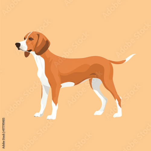 Beagle dog vector illustration