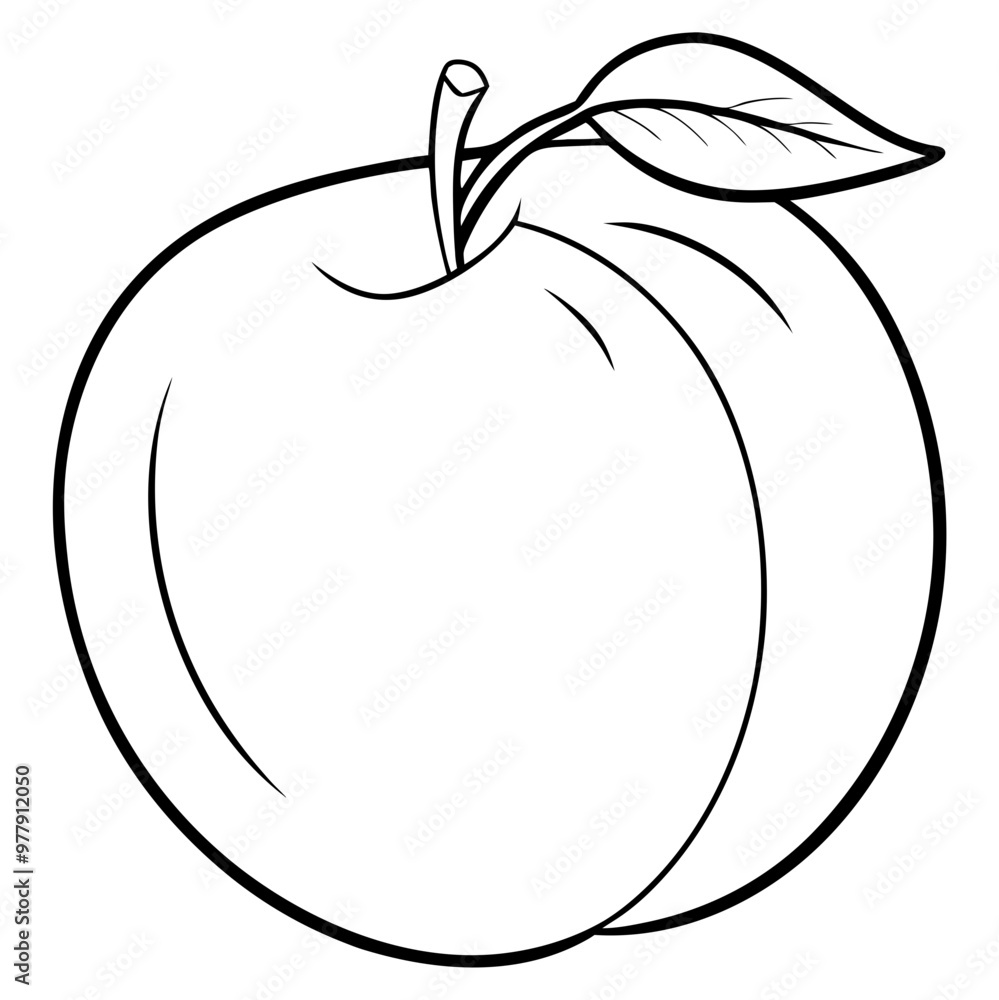 A peach is shown in a black and white drawing. The peach is the main focus of the image, and it is surrounded by a leaf. The drawing has a simple and clean style