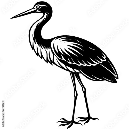 Stork standing on one leg, with long, slender legs and a beak vector