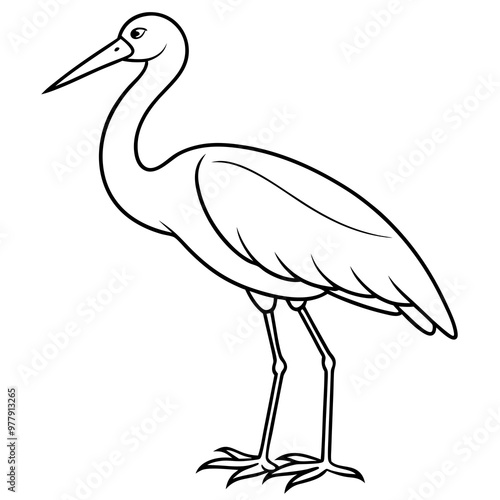 Stork standing on one leg, with long, slender legs and a beak vector