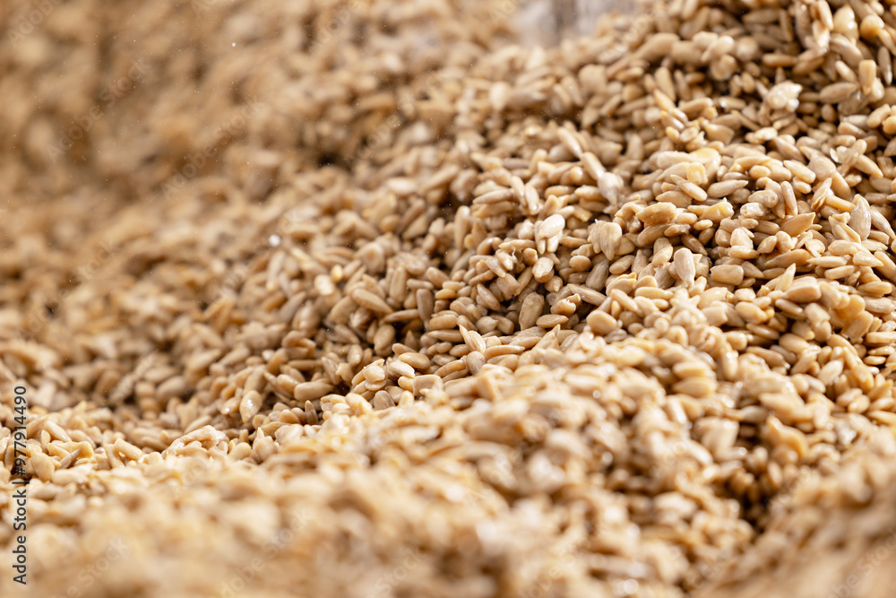 Fresh clean Sunflower kernel seeds background, oil manufacturing Fresh clean Sunflower kernel seeds background, oil manufacturing