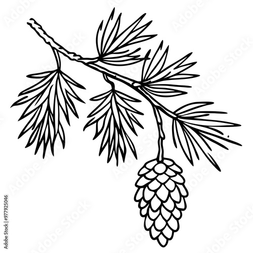 Snow-Covered Pine Branch with Pine Cones - Vector Art
