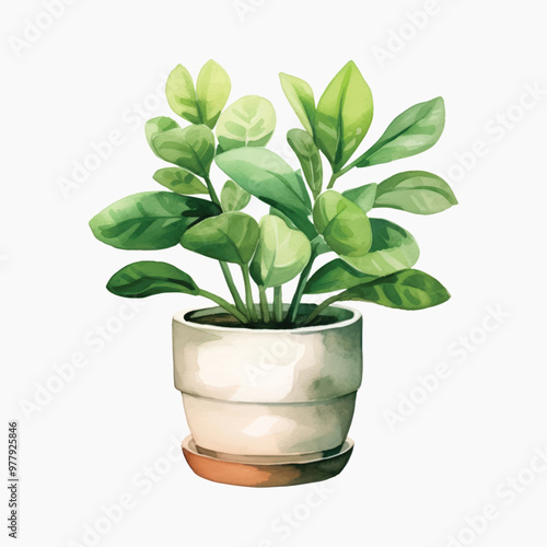 Vibrant potted plant illustration