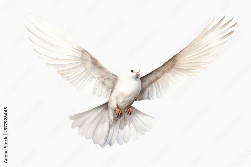 Graceful white dove in flight Graceful white dove in flight