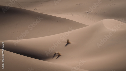 The landscape of Erg Chigaga in Morocco photo