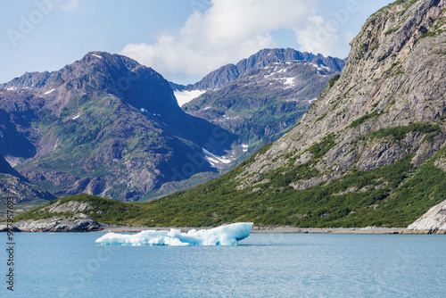 Columbia Glacier Area
