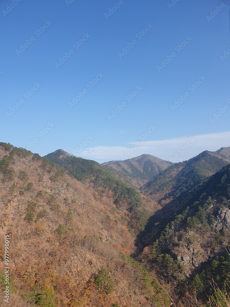 Naklejka premium view from the mountain