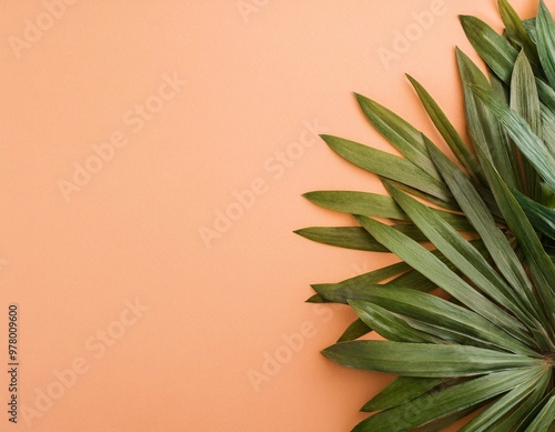 Fresh green leaves contrast against the light orange background, decorated with soft white fabric. generative ai photo