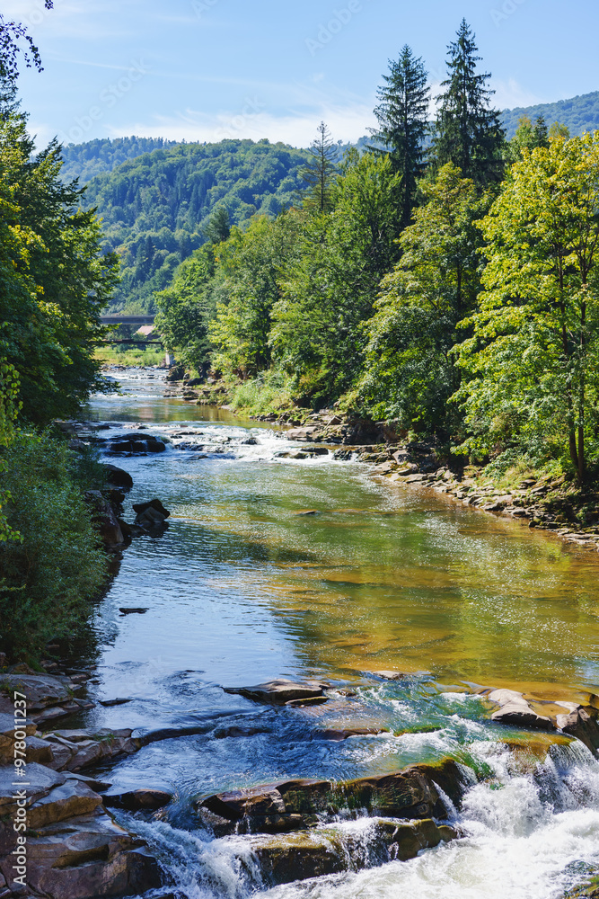 Landscape of mountain river among the hills with pine ans spruce trees with rocky shore, fast water Landscape of mountain river among the hills with pine ans spruce trees with rocky shore, fast water