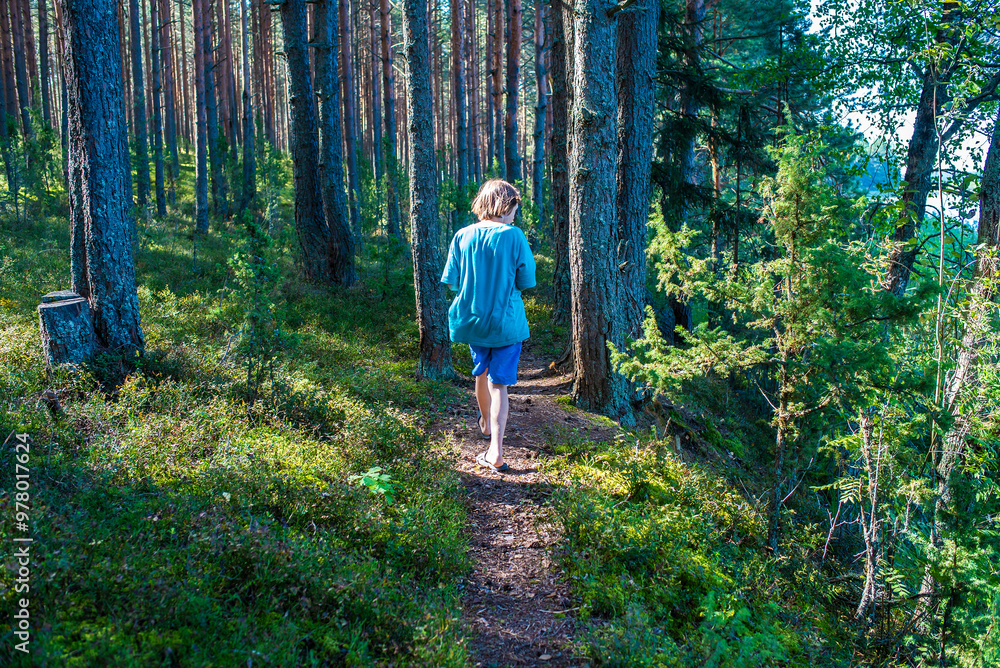 Obraz premium 11 year old boy in shorts, t-shirt and flip flops walking along path in pine forest, back view
