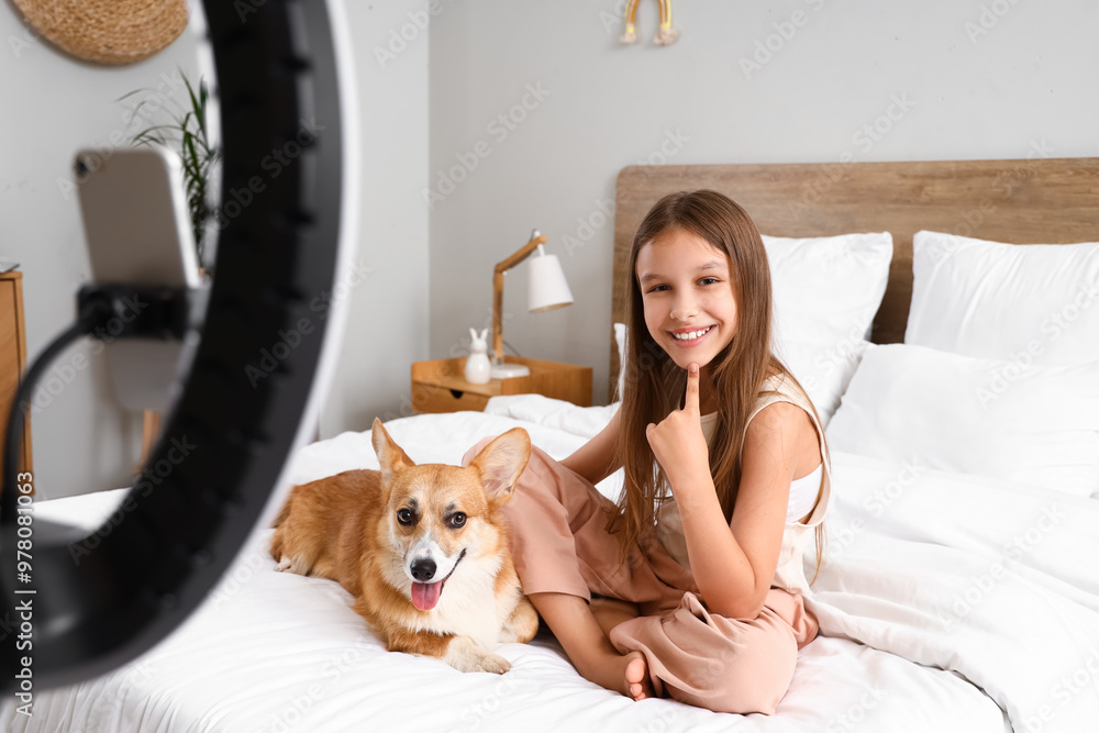 Little girl with cute Corgi dog recording video in bedroom Little girl with cute Corgi dog recording video in bedroom