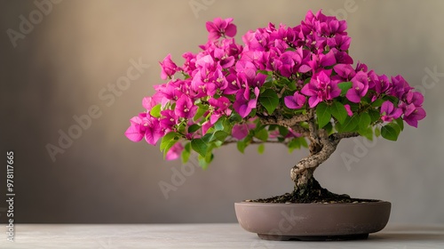 Wallpaper Mural Vibrant Bonsai Blooms in Elegant Ceramic Planter on Gray Background Torontodigital.ca