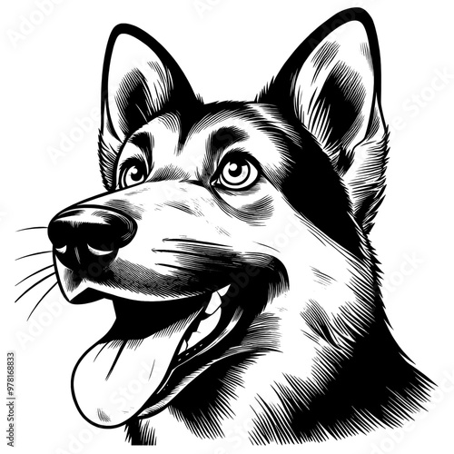 Happy German Shepherd dog portrait. Hand Drawn Pen and Ink. Vector Isolated in White. Engraving vintage style illustration for print, tattoo, t-shirt, sticker	