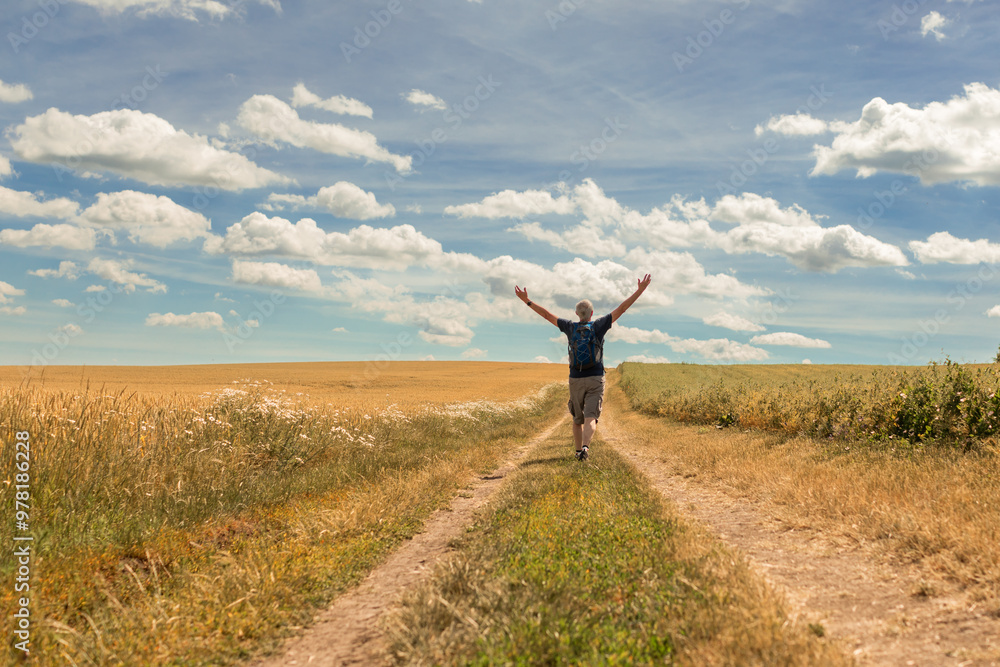 Fototapeta premium Man walking on country road on a sunny summer day 