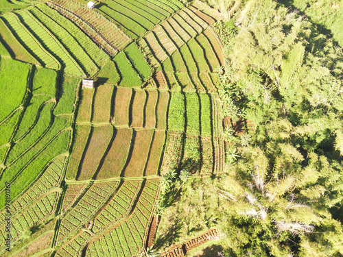 Cikancung Rice Terraces. Abstract and geometric aerial drone view of Agriculture fields. Drone Photography. High angle view. Agriculture Industry. Agricultural Photography Concept photo