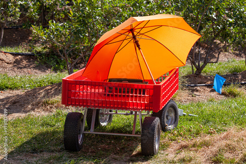 little red orange wagon with orange umbrella on it for harvest in a upcik farm.  great harvesting farm transportation idea for all ages of visitors and toursts photo