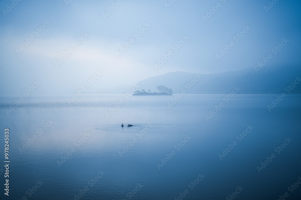 Fototapeta premium 동양화