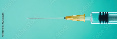 A close-up of a syringe with a sharp needle, often used for injections or vaccinations.