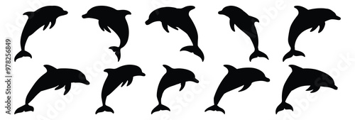 Dolphin silhouettes set, marine pack of vector silhouette design, isolated background