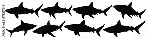Shark silhouettes set, ocean pack of vector silhouette design, isolated background