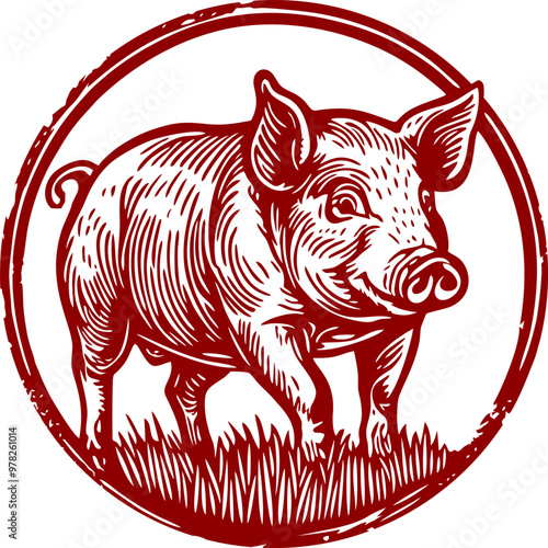 Beautiful Classic Hand Drawing Pig Illustration