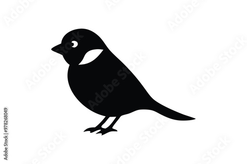 Magpie  Robin vector art and illustration photo