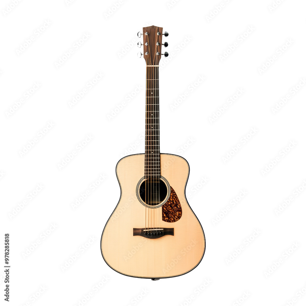 Obraz premium Acoustic Guitar Isolated