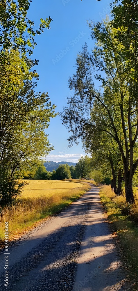 Naklejka premium 35. **A serene countryside road lined with tall trees, golden fields, and a clear, sunny sky.