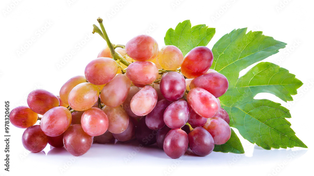 Fototapeta premium Red grape with leaf isolated on white background. 