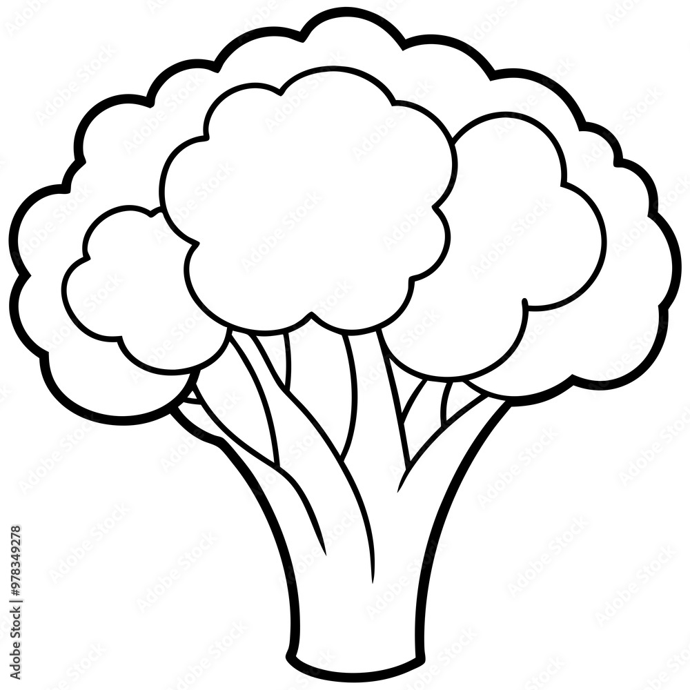 Line art of broccoli vector illustration Line art of broccoli vector illustration