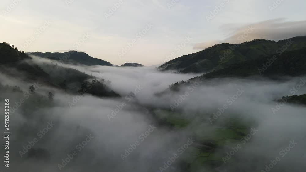 Beautiful aerial view of rice paddy field in Sapan village Forest in the rainy season covered with fog of pure air and pristine rivers in Nan province of Thailand. Beautiful aerial view of rice paddy field in Sapan village Forest in the rainy season covered with fog of pure air and pristine rivers in Nan province of Thailand.