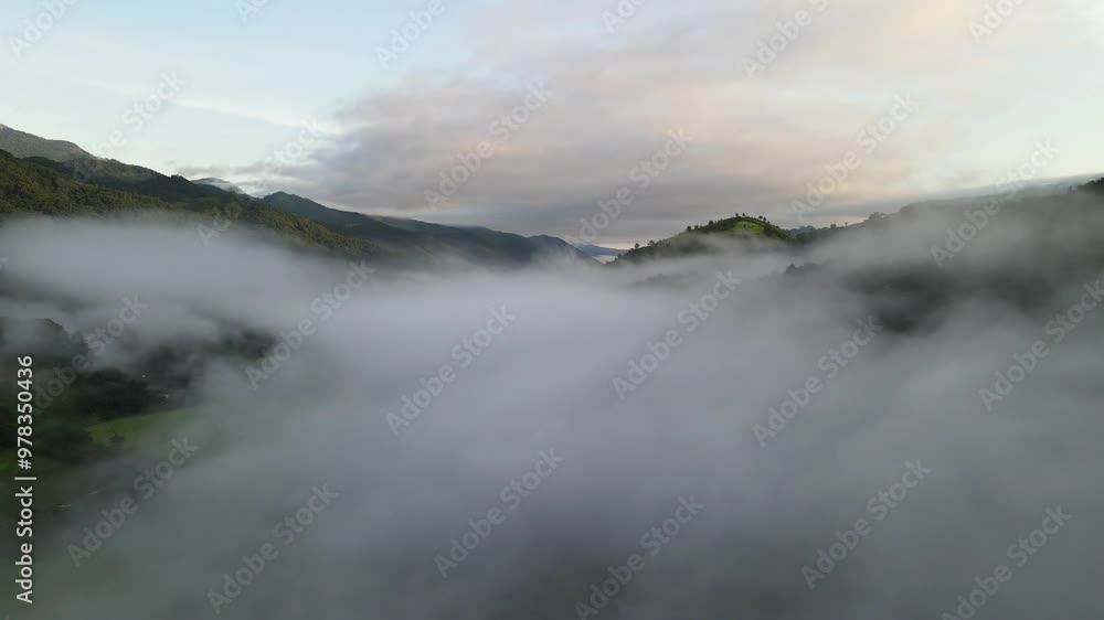 Beautiful aerial view of rice paddy field in Sapan village Forest in the rainy season covered with fog of pure air and pristine rivers in Nan province of Thailand. Beautiful aerial view of rice paddy field in Sapan village Forest in the rainy season covered with fog of pure air and pristine rivers in Nan province of Thailand.