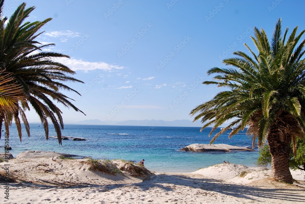 Fototapeta premium Boulders Beach in South Africa