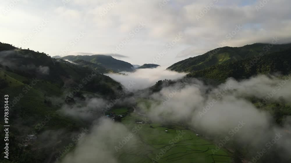 Beautiful aerial view of rice paddy field in Sapan village Forest in the rainy season covered with fog of pure air and pristine rivers in Nan province of Thailand. Beautiful aerial view of rice paddy field in Sapan village Forest in the rainy season covered with fog of pure air and pristine rivers in Nan province of Thailand.