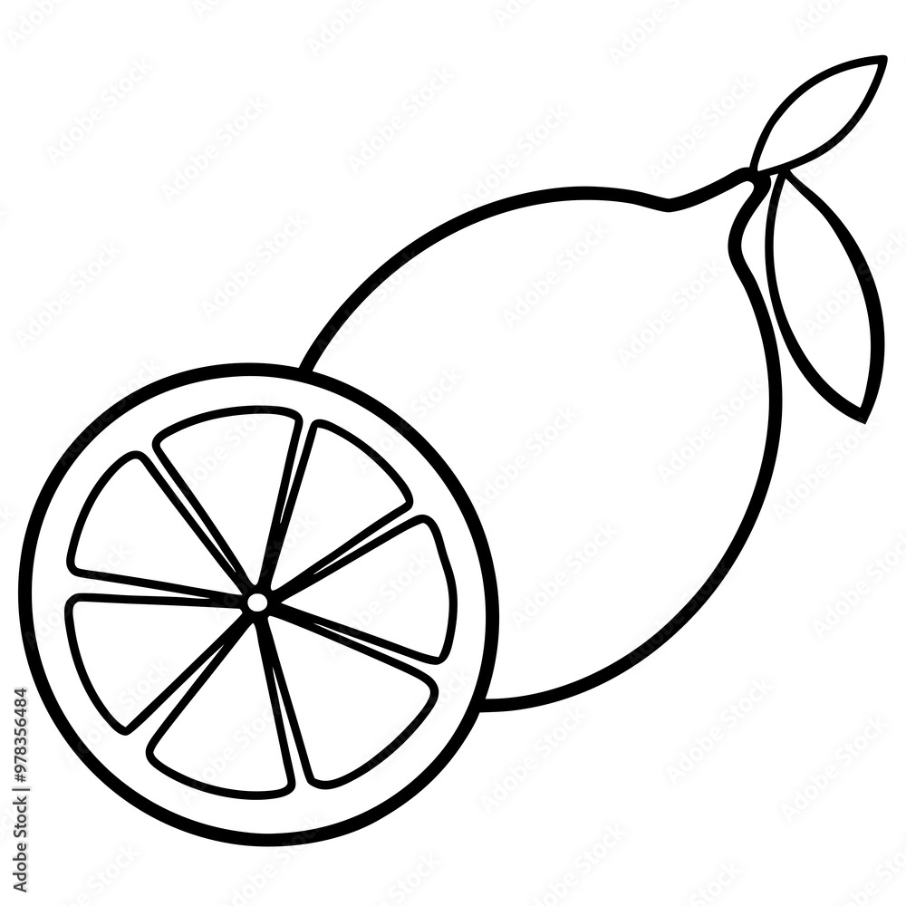 Fototapeta premium Lemon line art vector