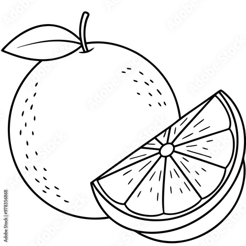  Line art of a lime vector illustration 
