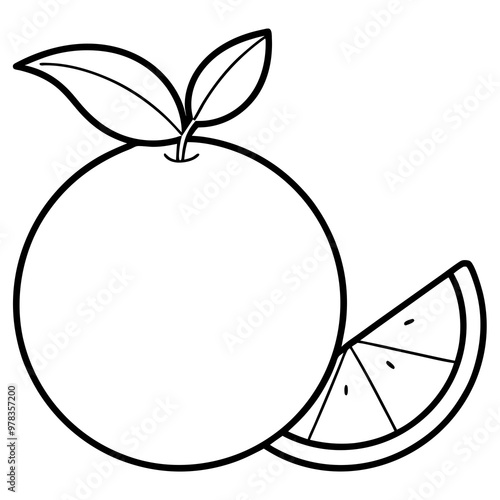 Orange fruit with leaves and slice line art. Vector illustration
