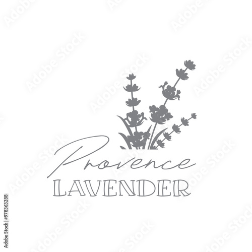 Lavender flower logo design. Elegant floral sumbol photo