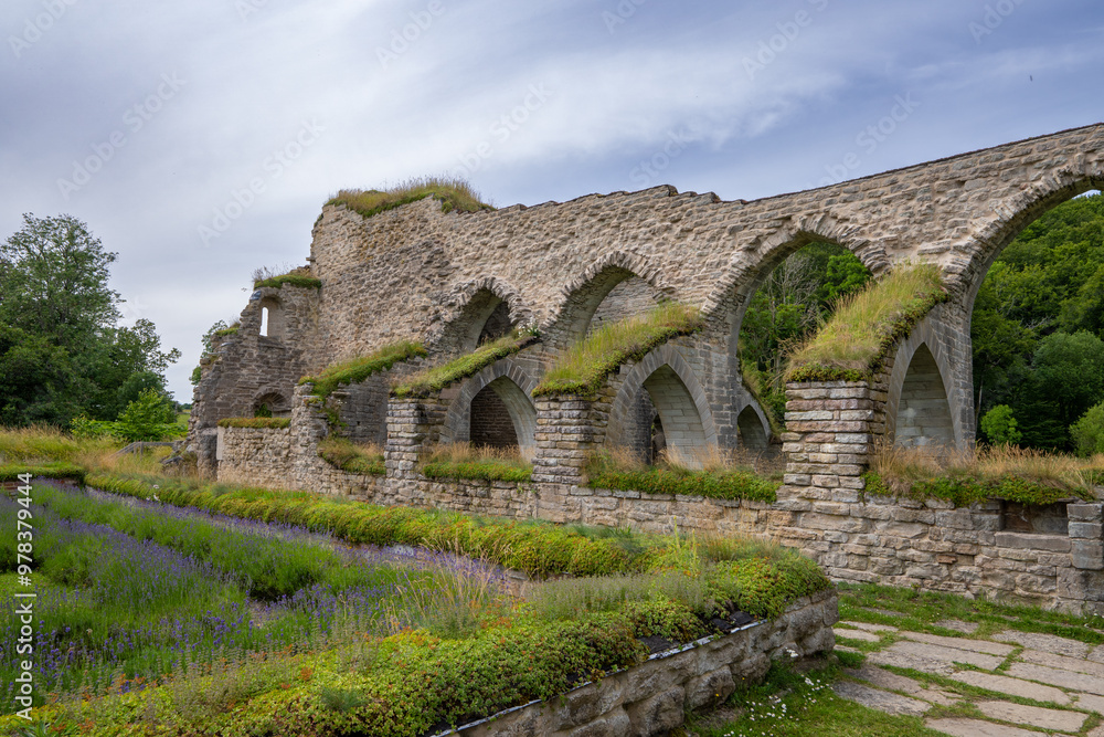 A panoramic view of the Alvastra Monastery ruins, showcasing the extensive stone walls and remnants of buildings against a backdrop of lush greenery. The ruins are partially covered in vegetation. A panoramic view of the Alvastra Monastery ruins, showcasing the extensive stone walls and remnants of buildings against a backdrop of lush greenery. The ruins are partially covered in vegetation.