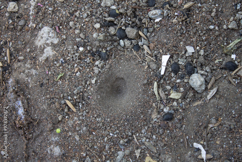 retreat trap hole in the ground photo