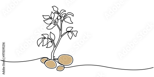 Simple potato plant design in continuous line art drawing style. Growing potatoes on the field. Vector illustration, The potato is drawn with one solid line. Healthy vegetable. The object is drawn