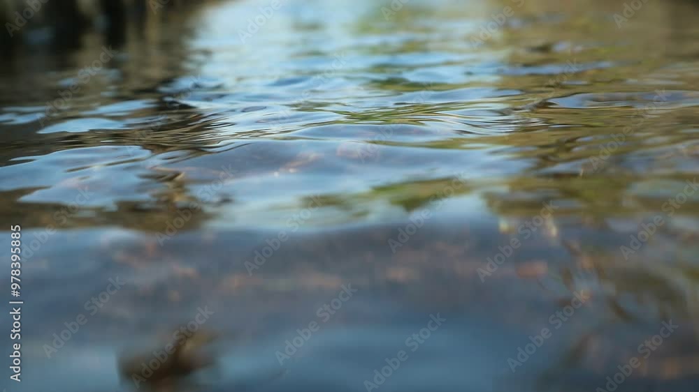 Water flows in the rice field irrigation channel near the fish pond