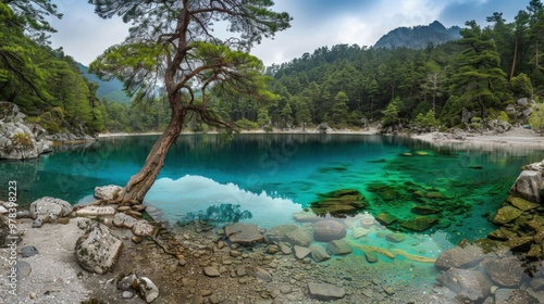 Serene Mountain Lake with Clear Turquoise Waters